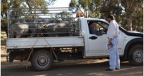 Guy with a ute